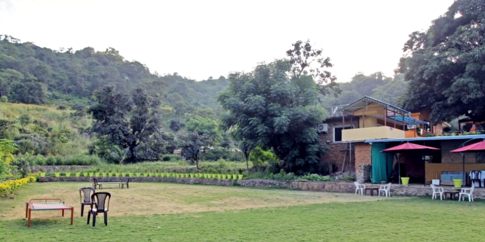 Lawn & Garden